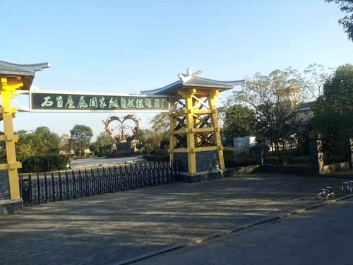 石首麋鹿國家級自然保護(hù)區(qū)入口。人民政協(xié)網(wǎng)記者 付振強 攝