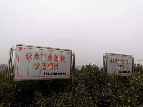 光山近年大力發(fā)展油茶產業(yè),，農民返鄉(xiāng)創(chuàng)業(yè)成熱潮,。人民政協(xié)網(wǎng)記者付振強 攝
