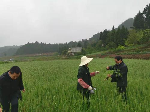 微信圖片_20201211123745