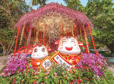 　澳門街頭的生肖牛造型花壇,。
