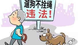 一案一說 | 行人被寵物狗驚嚇?biāo)さ?，狗主人要?dān)責(zé)嗎,？