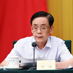全國(guó)政協(xié)副主席,、農(nóng)工黨中央常務(wù)副主席何維發(fā)言
