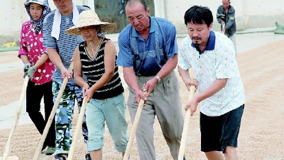 “本色”委員董配永的土地情結(jié)