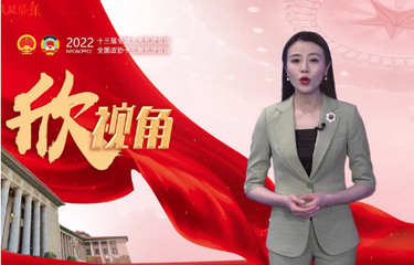 【兩會欣視角】懲治網(wǎng)絡(luò)暴力,，法不責(zé)眾or法“要”責(zé)眾,？