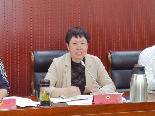 東城區(qū)政協(xié)黨組副書記,、副主席劉健匯報東城區(qū)政協(xié)貫徹落實中央,、市委政協(xié)工作會議精神的進展情況