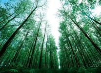 構建“五位一體”大風控體系 ?引領保障中國紙業(yè)高質(zhì)量發(fā)展