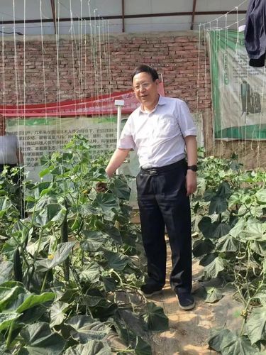 △2022年5月25日,，趙永華赴呼和浩特市賽罕區(qū)金河鎮(zhèn)根堡村對增施二氧化碳氣肥的種植戶進行調(diào)研,，實地了解增施二氧化碳后作物生長變化。