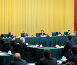 李強(qiáng)看望出席全國政協(xié)十四屆一次會(huì)議委員并參加討論