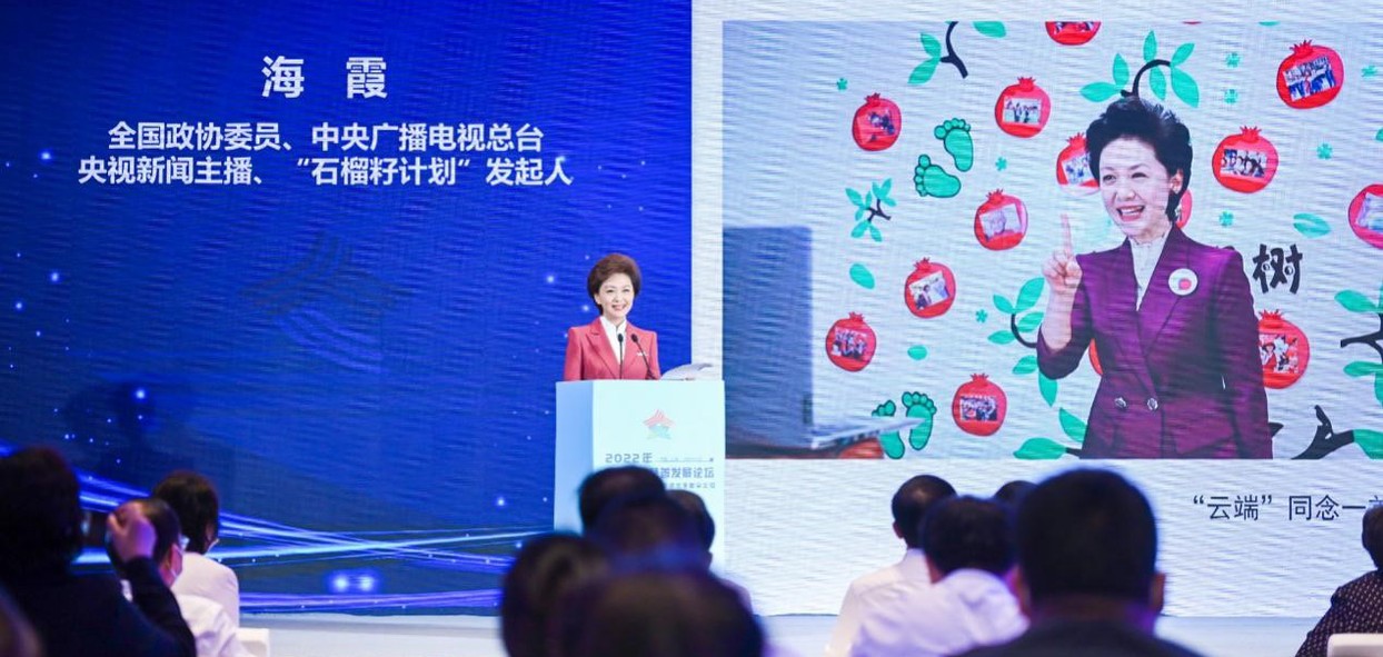  2022年中國網(wǎng)絡文明大會數(shù)字公益慈善發(fā)展論壇在天津舉辦