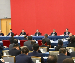 李強參加經濟,、農業(yè)界委員聯(lián)組會