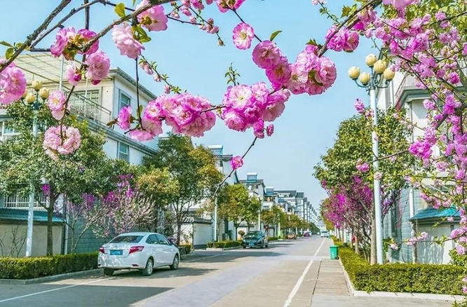 好的農(nóng)村人居環(huán)境什么樣,？委員們這樣說……