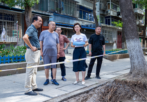 王小雨（右二）與政協(xié)委員、居民代表就小區(qū)管道安裝事宜現(xiàn)場協(xié)商,。 （圖片由受訪者提供）