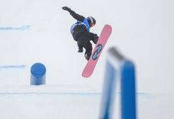 亞冬會｜中國隊劉昊宇獲單板滑雪男子坡面障礙技巧銀牌