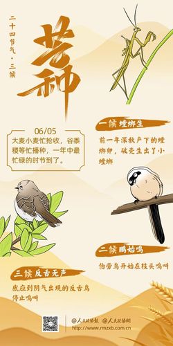 微信圖片_20250211155600