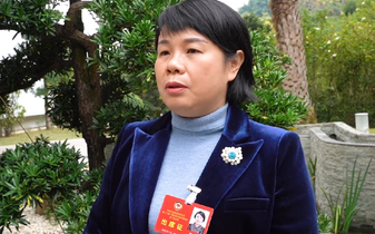 廣西壯族自治區(qū)政協(xié)委員賴芳：進(jìn)一步發(fā)揮好政企連心橋作用 真心實意為民營企業(yè)紓困解難