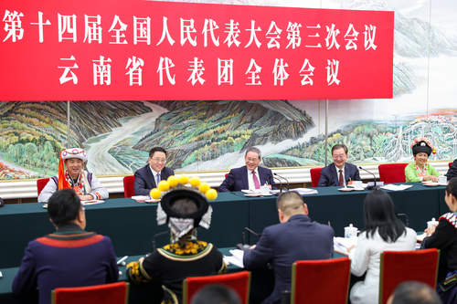 兩會丨李強參加云南代表團審議(6584976)-20250306002202