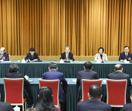 趙樂(lè)際參加致公黨,、僑聯(lián),、對(duì)外友好界委員聯(lián)組會(huì)