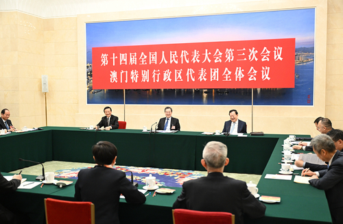 3月7日上午，中共中央政治局常委,、國務(wù)院副總理丁薛祥參加十四屆全國人大三次會議澳門代表團審議,。新華社記者 李響 攝