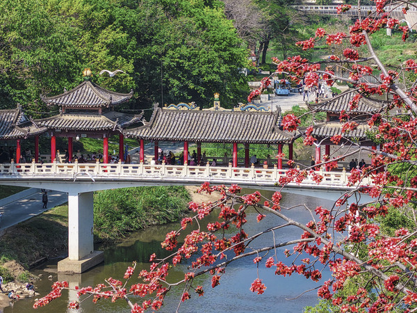 新華全媒＋丨穿越時(shí)光的浪漫——當(dāng)古建邂逅(6838615)-20250324150944