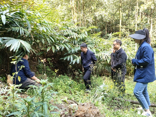 （地方政協(xié)）調(diào)研林資源家底　走生態(tài)綠色助(6915810)-20250403100146