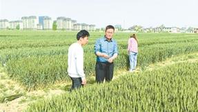 胡林海：新農(nóng)人的興農(nóng)事
