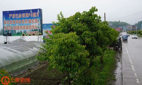 圖4 婁底到雙峰的省道上,，打擊PS敲詐勒索的大型宣傳牌很醒目.JPG