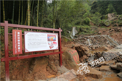 爺孫三代都是雙胞胎,！重慶一個(gè)村出了39對雙胞胎待解謎