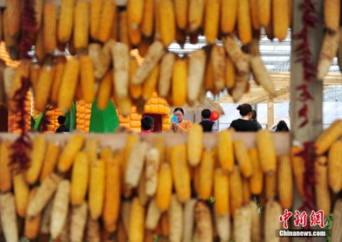 資料圖,。<a target='_blank' href='http://www.chinanews.com/'>中新社</a>記者 翟羽佳 攝