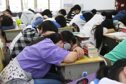 高三年級一共有18個班級,，人數(shù)超過1000余人。學生大多來自周邊鄉(xiāng)村,，在學習上非常上進,，希望通過高考改變命運。桐城是桐城派故里,，這里文風昌盛,，重視教育，素有“富不丟豬,、窮不丟書”的傳統(tǒng),。