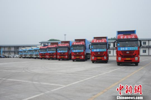 資料圖。圖為準(zhǔn)備發(fā)車的10輛標(biāo)準(zhǔn)集裝箱大卡車,?！＄婌?攝